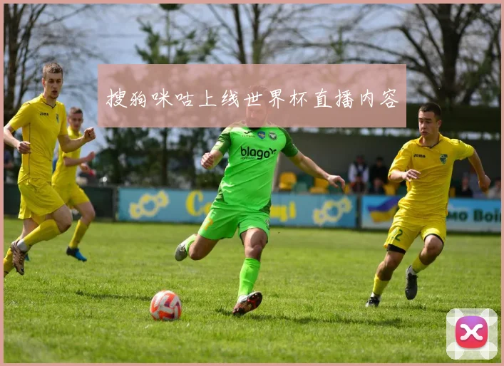 搜狗咪咕上线世界杯直播内容
